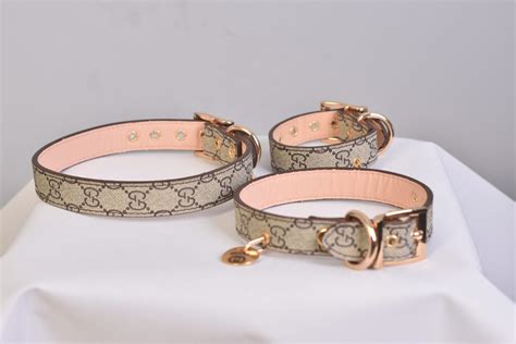 collier chien gucci|gucci collars for cats.